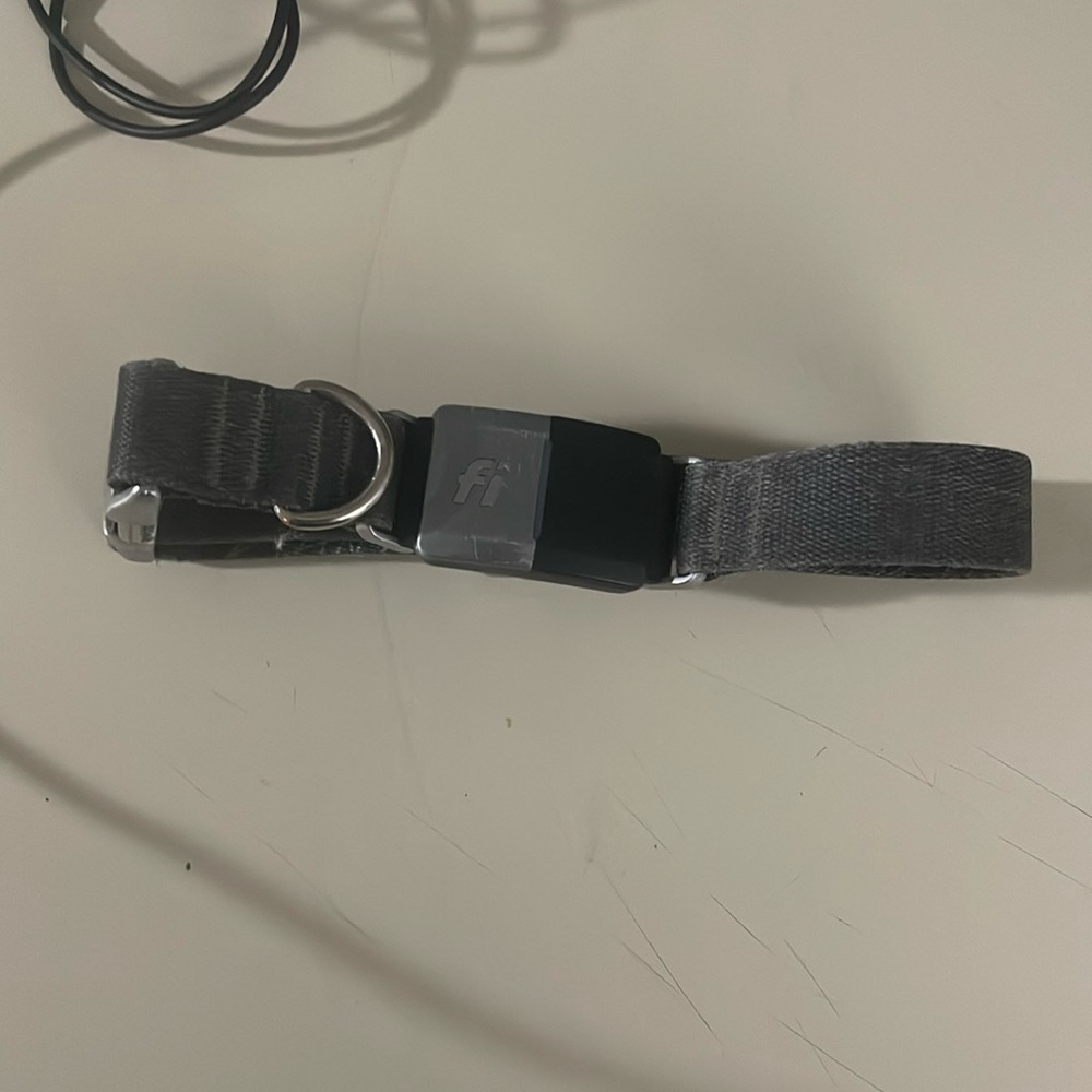 FI dog collar series 2